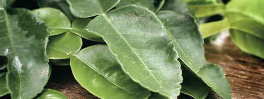 Kaffir lime leaves