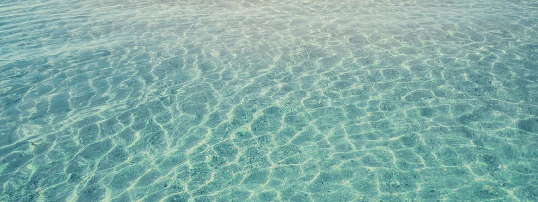 Aquatic notes