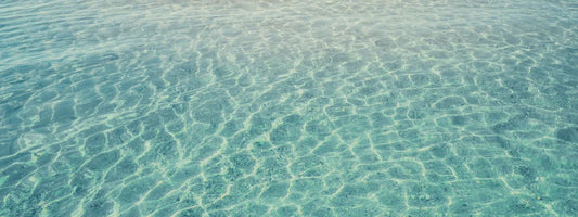 Aquatic notes