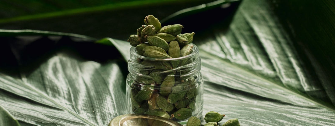 Cardamom