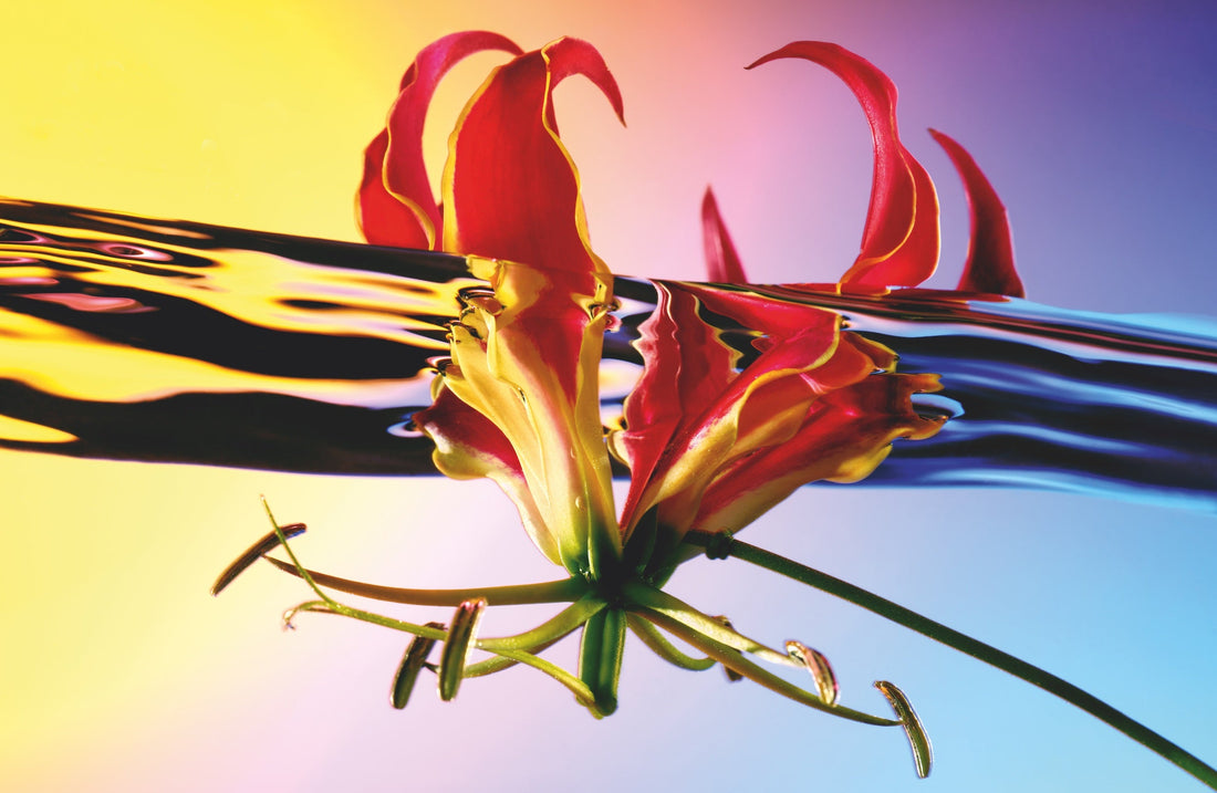 Podcast over mode en parfum