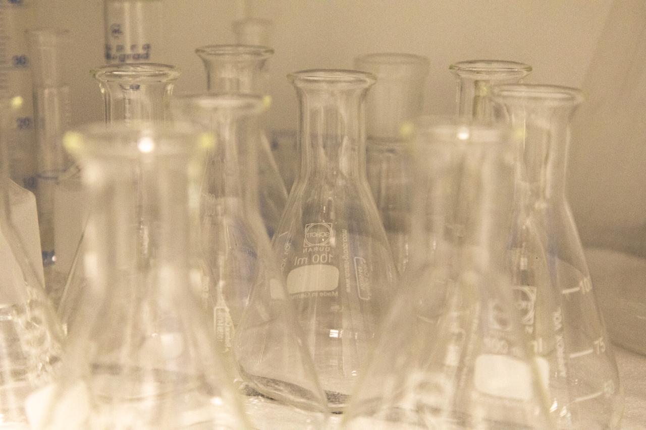 Annindriya_flasks.jpeg