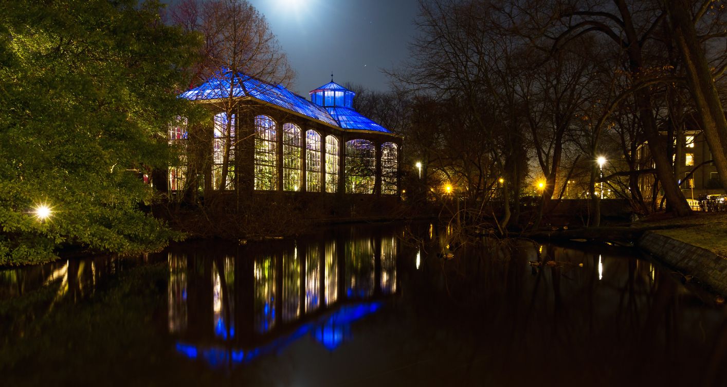 Hortus_botanicus_-_amsterdam_-_annindriya.jpg