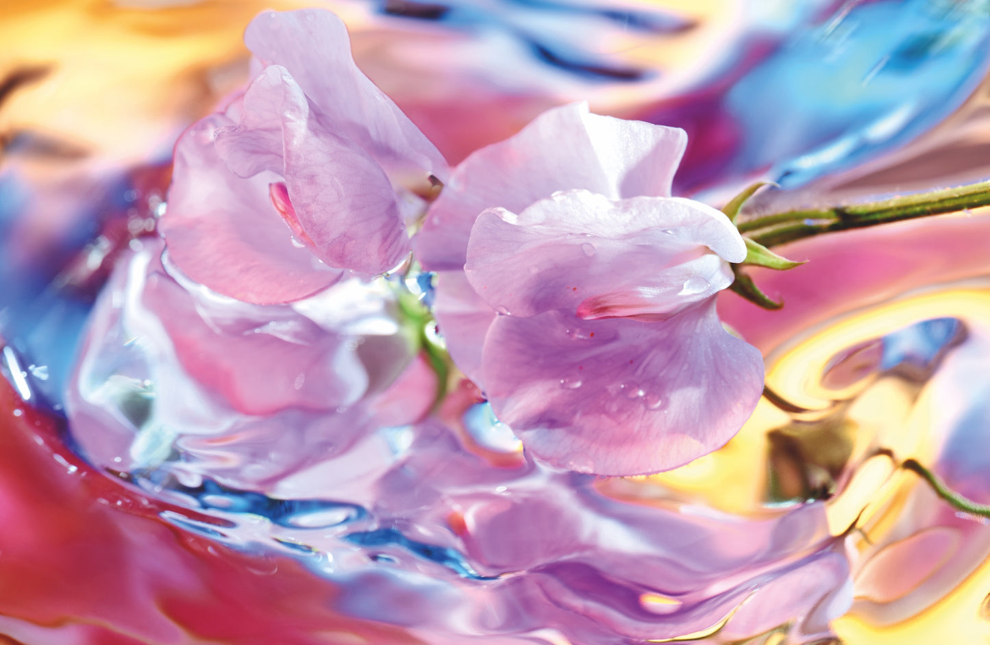 Le Glossy Escape